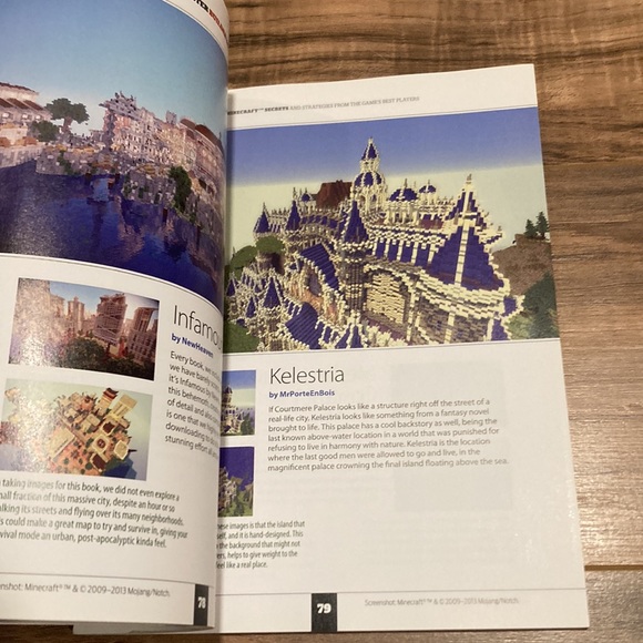 Two (2) Minecraft books - Picture 6 of 7
